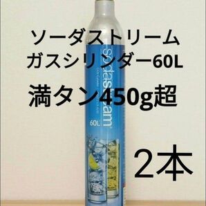 【満タン2本】ソーダストリームガスシリンダー満タン2本 ねじ込み式