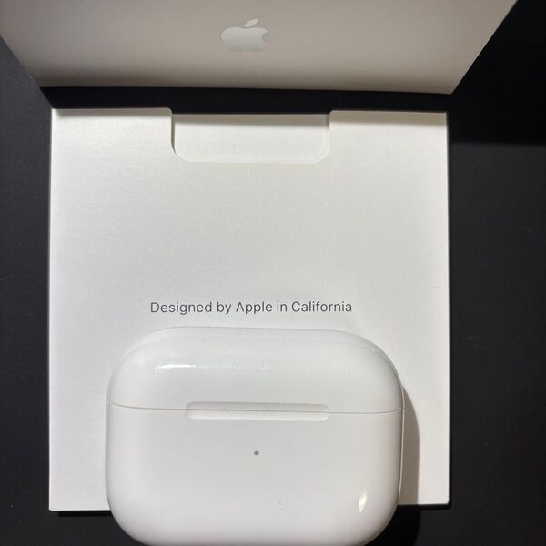 AirPods Pro 充電ケースのみ