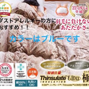 3MTM シンサレートTM 高機能 中綿素材使用 掛布団 【ブルー】