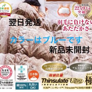 3MTM シンサレートTM 高機能 中綿素材使用 掛布団 【ブルー】