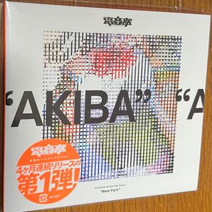 CD 電音部 New Park 外神田文芸高校