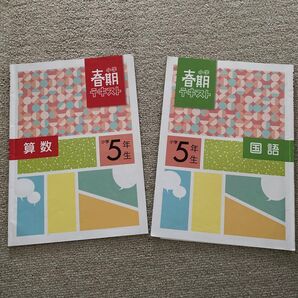 春期 テキスト 小学5年 算数国語