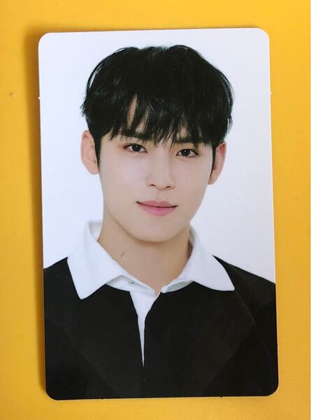 【公式】ミンギュ トレカ Card wallet seventeen セブチ