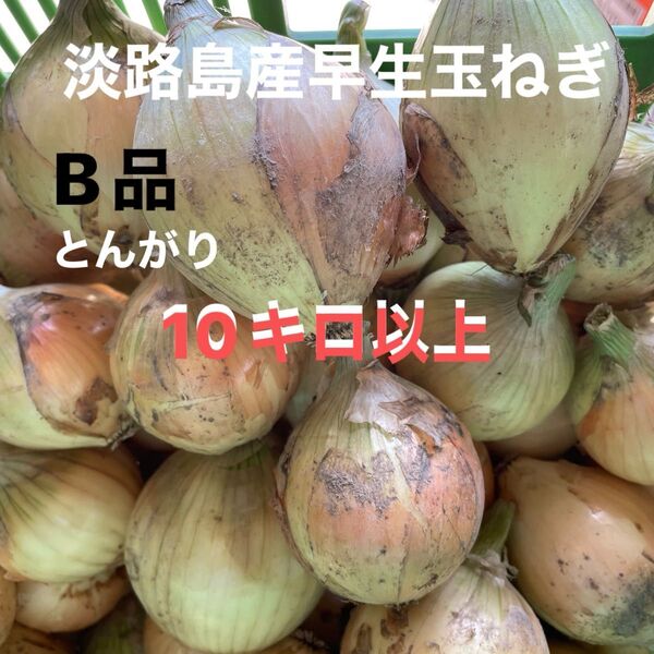 淡路島産早生玉ねぎ