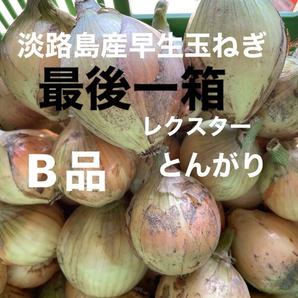 淡路島産早生玉ねぎ