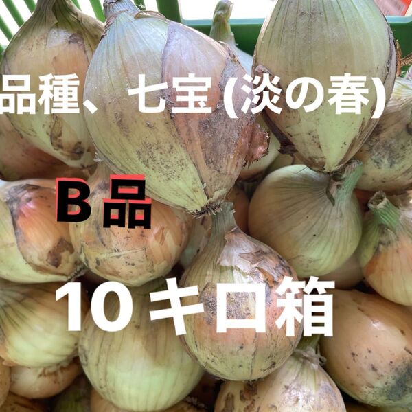 淡路島産早生玉ねぎ