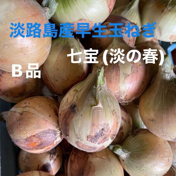 淡路島産早生玉ねぎ