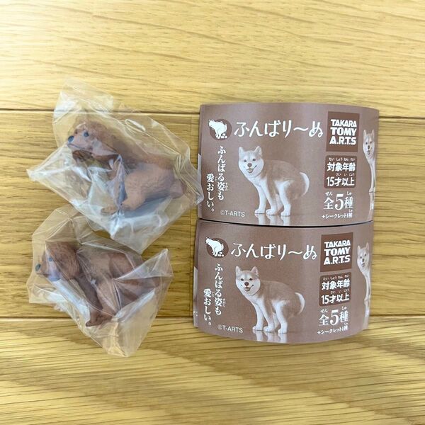 ふんばり〜ぬ トイプードル 計2個セット