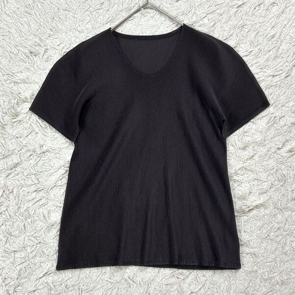 【美品】PLEATS PLEASE プリーツプリーズ イッセイミヤケ 半袖 カットソー Tシャツ 3 L相当 ダークブラウン
