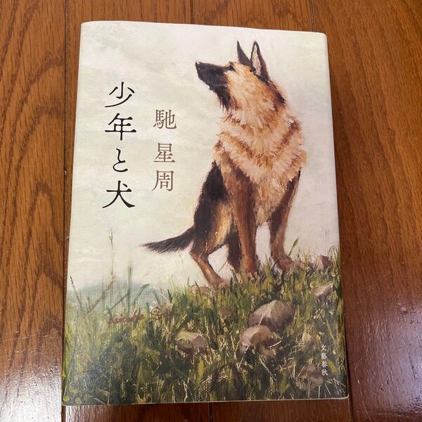 少年と犬 馳星周/著