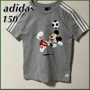 【adidas】アディダス 3ストライプス Tシャツ キッズ 150 グレー キャラクター プリント