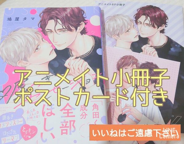 ※アニメイト小冊子、ポストカード付き 『嘘つきセンセーション/鳩屋タマ』