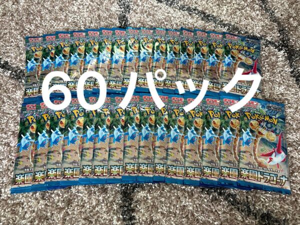 楽園ドラゴーナ60p ポケモンカード