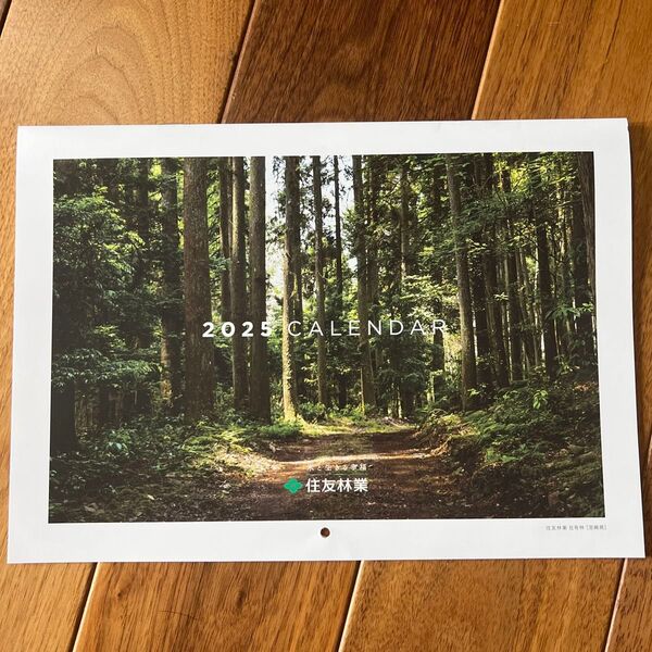 2025年 壁掛けカレンダー 自然風景 住友林業 きこりん