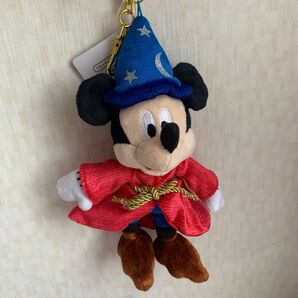 ディズニーフラッグシップ 東京ジャパンツアー ファンタジア セントレア ミッキー