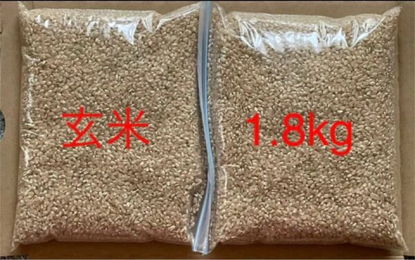 玄米 1.8kg