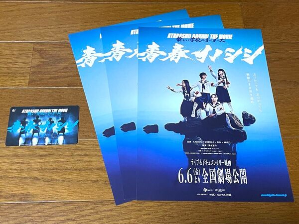 新しい学校のリーダーズ 青春イノシシ 映画 ムビチケ フライヤー セット