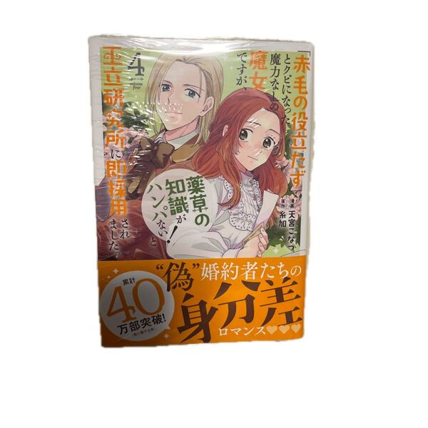 「赤毛の役立たず」とクビになった魔力 4