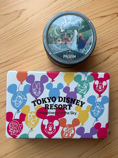 東京ディズニーリゾート 空き缶 2個セット アナ雪 ミッキー