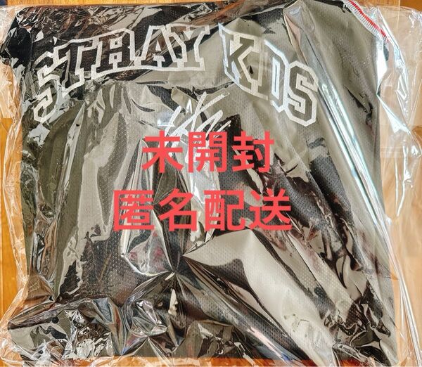 Straykids スキズ アプグレ特典グッズ 未開封