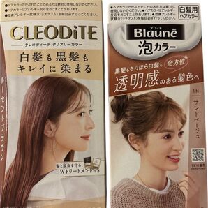 ヘアカラー2点セット ダリヤ クレオディーテ 花王ブローネ泡カラー
