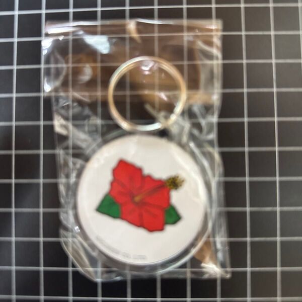 ハナハナキーホルダー【非売品】