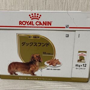 ロイヤルカナン ダックスフンド 成犬〜高齢犬用 85g×12