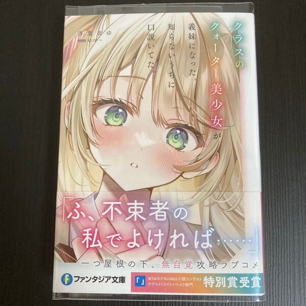 クラスのクォーター美少女が義妹になった。知らないうちに口説いてた。 (富士見ファンタジア文庫 う-6-1-1) 浮葉まゆ/著