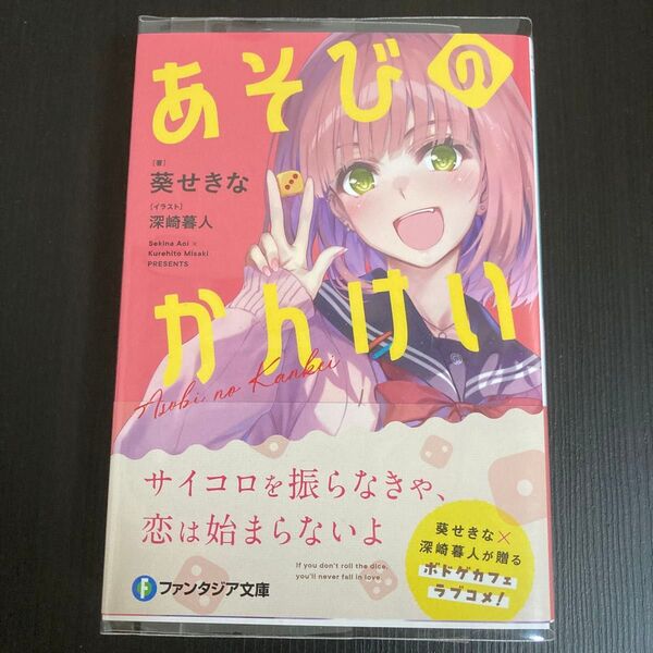 あそびのかんけい (富士見ファンタジア文庫 あ-3-7-1) 葵せきな/著