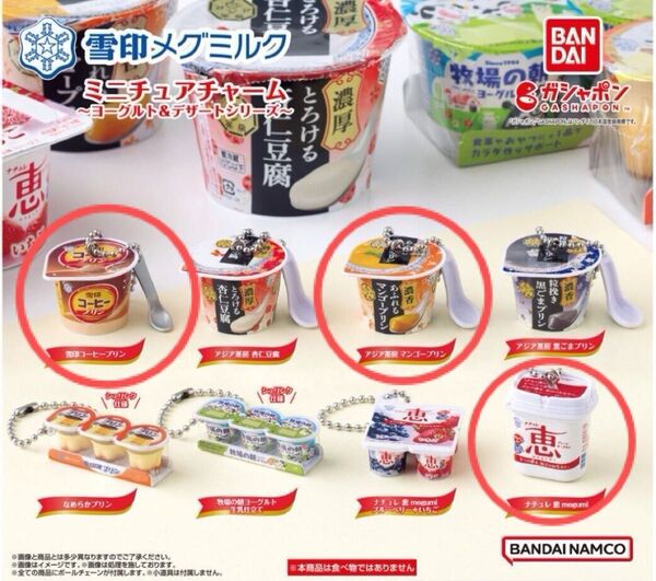 雪印メグミルクミニチュアチャーム 〜ヨーグルト&デザートシリーズ〜 ガチャ
