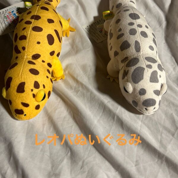 レオパのきいちゃん レオパぬいぐるみ