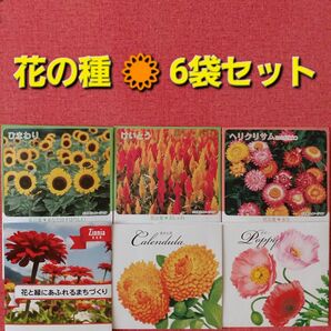 花の種 6袋 ひまわり* けいとう* ヘリクリサム* 百日草* キンセンカ* ポピー*