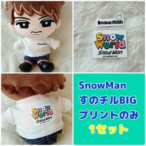 ☆すのチル☆アイロンプリント☆1セット☆SnowMan☆スノーワールド