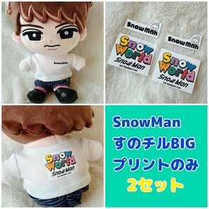 ☆すのチル☆アイロンプリント☆2セット☆SnowMan☆スノーワールド