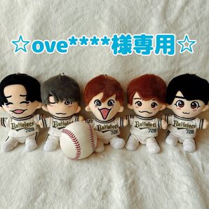 ☆ove****様専用☆