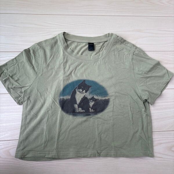 猫プリント グリーン クロップドTシャツ Y2K shein ハチワレ猫