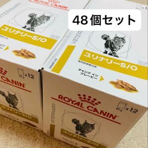 48個セット ロイヤルカナン ユリナリーS/O ウェット パウチ 85g 猫用