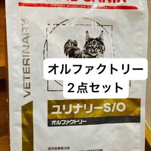 2袋セット ロイヤルカナン ユリナリーS/O 猫用 オルファクトリー ドライ 4kg 療養食