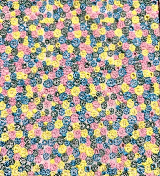 ミナペルホネン skyfulスカイフル 新品 大きめハギレ 刺繍生地カットクロス