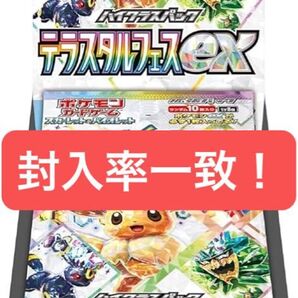 テラスタルフェスex 1BOX