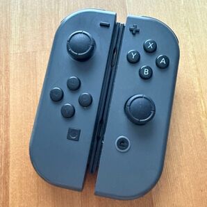 Switch ジョイコングレー×グレー ②ニンテンドー