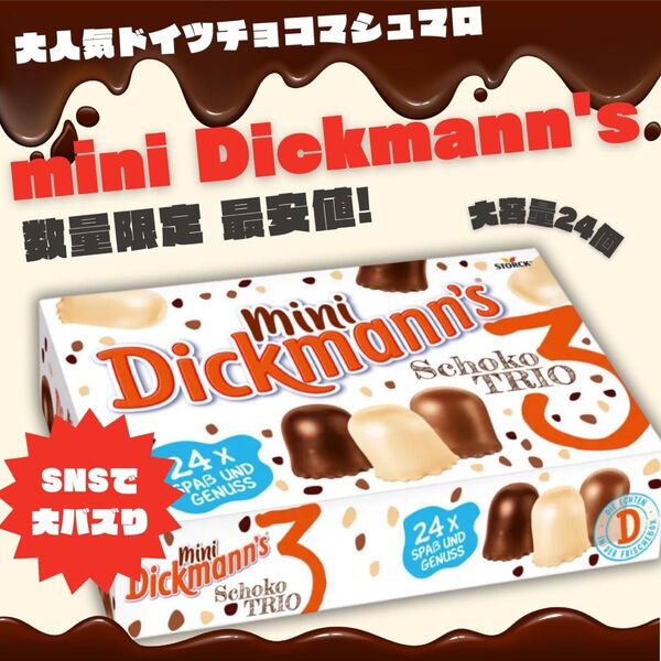 ディックマンズミニ 24個入り