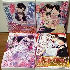 TL小説 年の差溺愛婚 年上旦那様は初心な新妻が愛しくてたまらない (マーマレード文庫) 高田ちさき/著 他4冊セット【60】