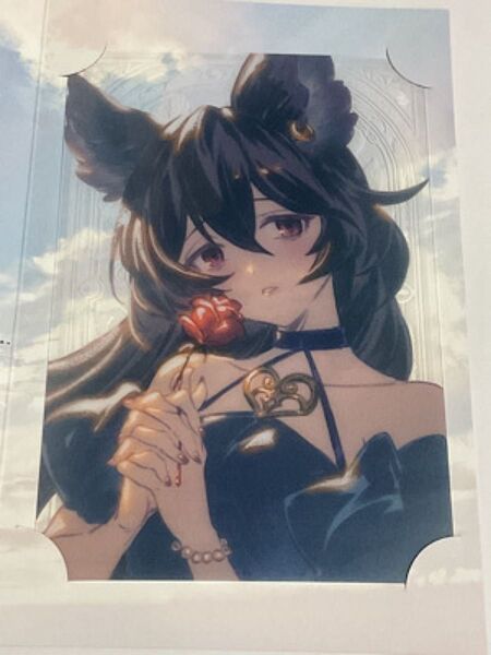 グランブルーファンタジー バレンタイン 2025 お返しイラストメッセージカード ニーア