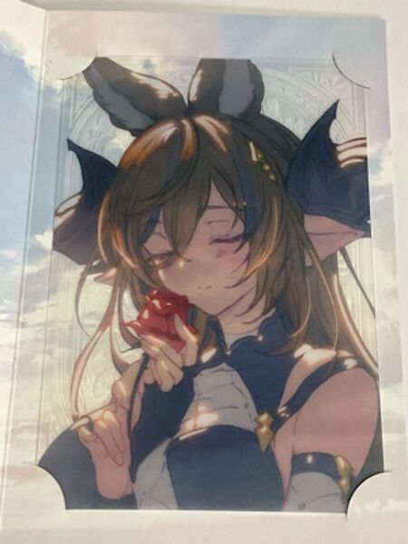 グランブルーファンタジー バレンタイン 2025 お返しイラストメッセージカード ガレヲン