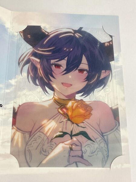 グランブルーファンタジー バレンタイン 2025 お返しイラストメッセージカード グレア