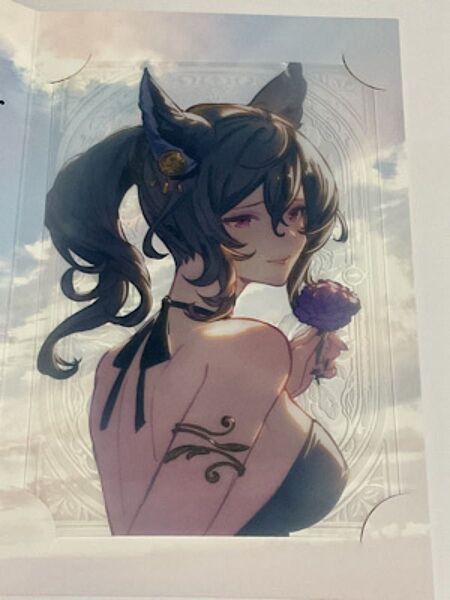 グランブルーファンタジー バレンタイン 2025 お返しイラストメッセージカード イルザ