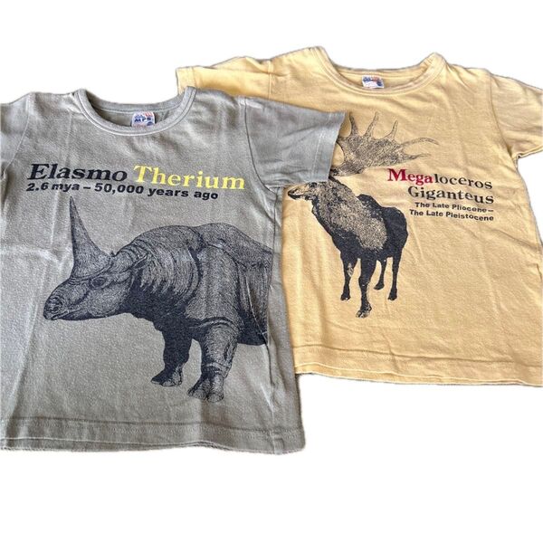 Tシャツ 半袖 恐竜 110㎝ 2枚セット
