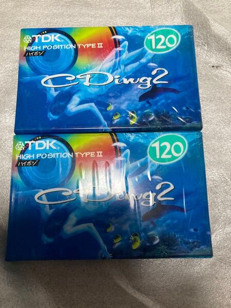 2個 TDK ハイポジオーディオカセットテープ 未開封未使用 120分