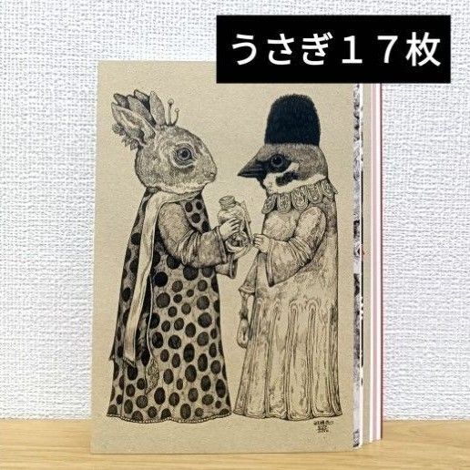 ★うさぎ17枚★ 新品未使用 ヒグチユウコ ポストカード ボリス雑貨店